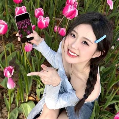 八十龟酱观察日记第二季